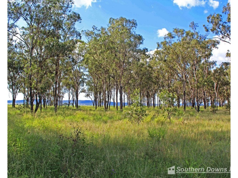 17 Junabee Road, Junabee QLD 4370