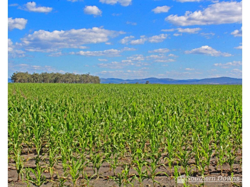 17 Junabee Road, Junabee QLD 4370