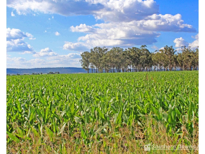 17 Junabee Road, Junabee QLD 4370