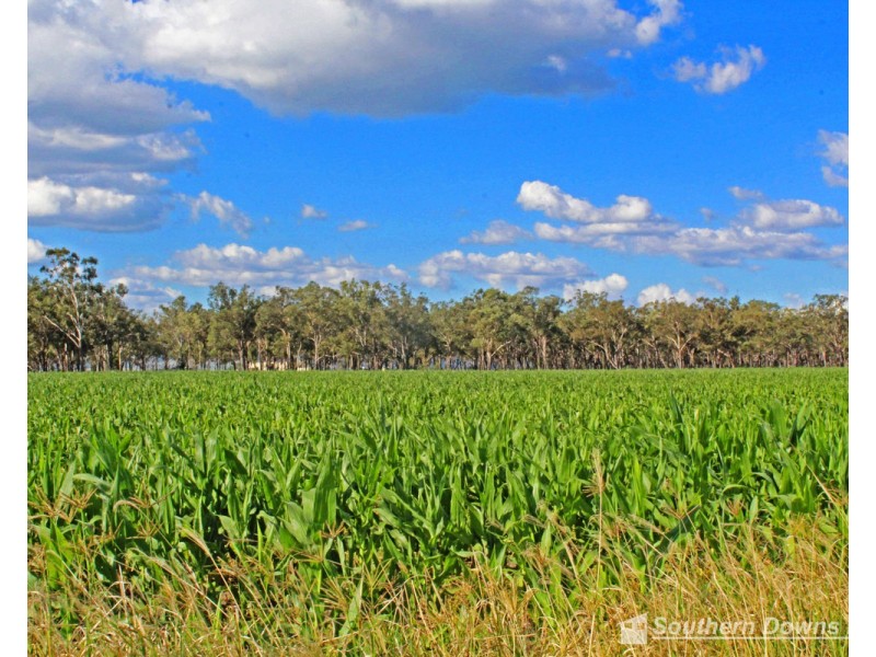 17 Junabee Road, Junabee QLD 4370