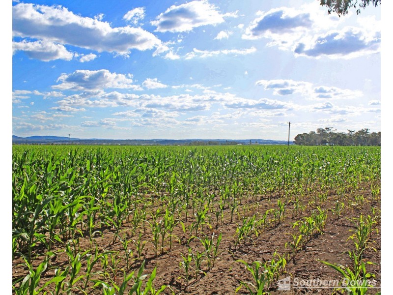 17 Junabee Road, Junabee QLD 4370