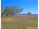 105 Perquins Road, Freestone QLD 4370