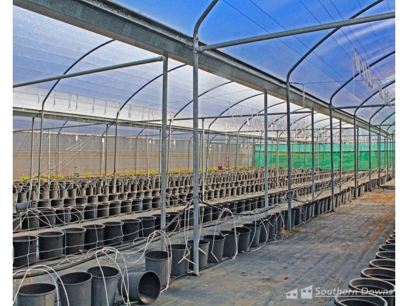 169 Big Hill Road, Pratten QLD 4370