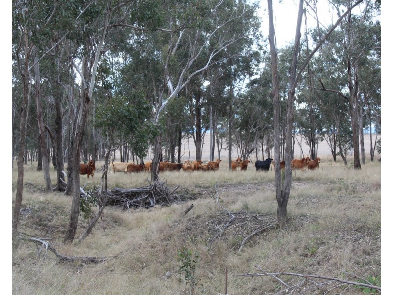 Warwick Killarney Road, Loch Lomond QLD 4370