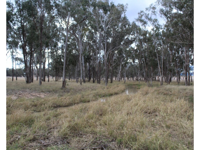 Warwick Killarney Road, Loch Lomond QLD 4370