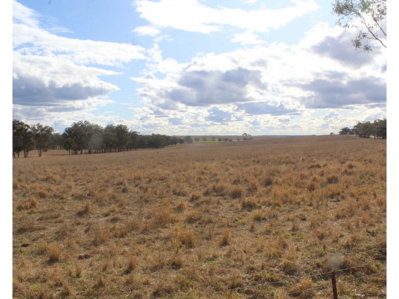 Warwick Killarney Road, Loch Lomond QLD 4370