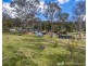 676 Spring Creek Road, The Falls QLD 4373