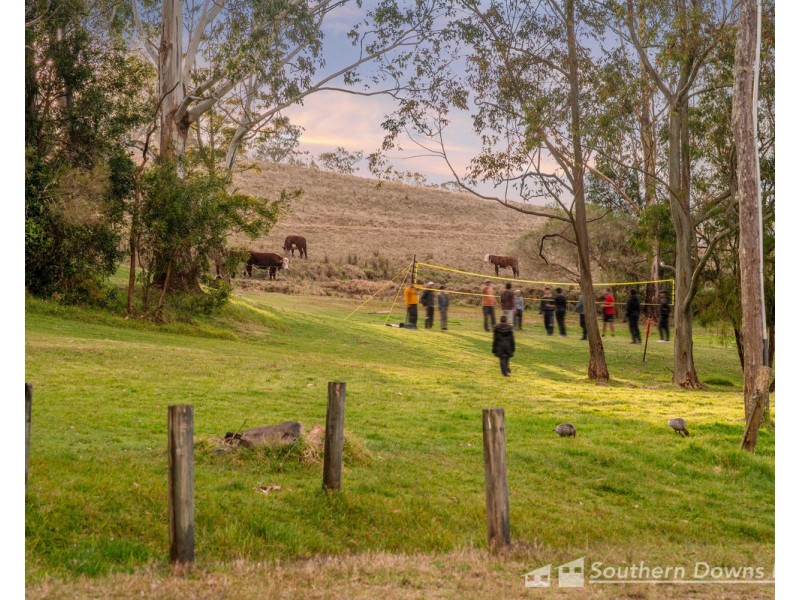 676 Spring Creek Road, The Falls QLD 4373