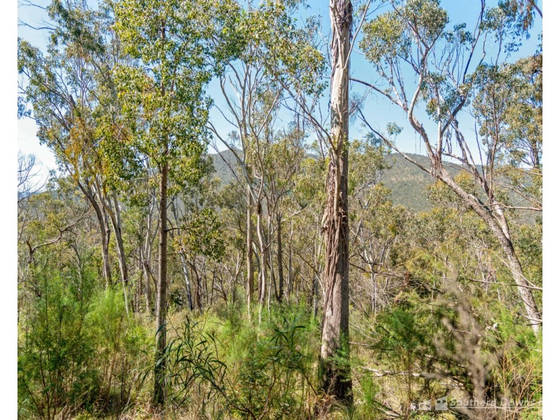 1027 & 104 Emu Creek Road, Emu Vale QLD 4371