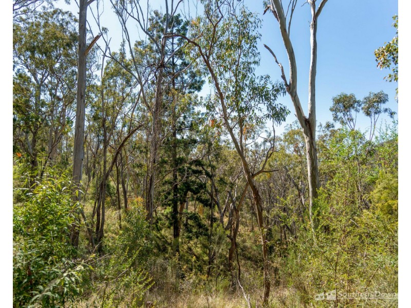 1027 & 104 Emu Creek Road, Emu Vale QLD 4371