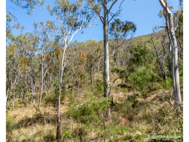 1027 & 104 Emu Creek Road, Emu Vale QLD 4371