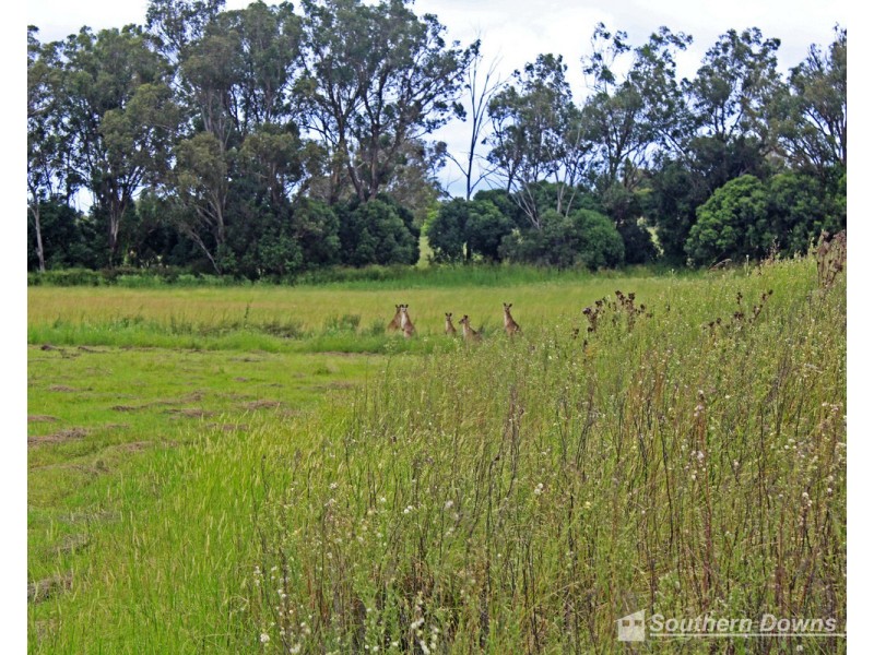 72 Cnr Dight & Busch Road, Rosenthal Heights QLD 4370