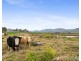70 Bradfords Lane., Yangan QLD 4371