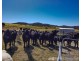 70 Bradfords Lane., Yangan QLD 4371