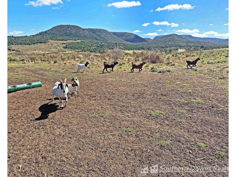 7 Charley’s Gully Road, Freestone QLD 4370