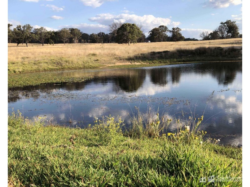 98 Kerrick Road, Dalveen QLD 4374