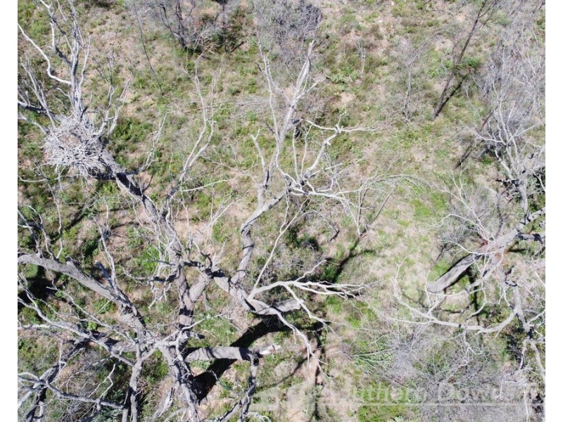 18079 Cunningham Highway, Karara QLD 4352