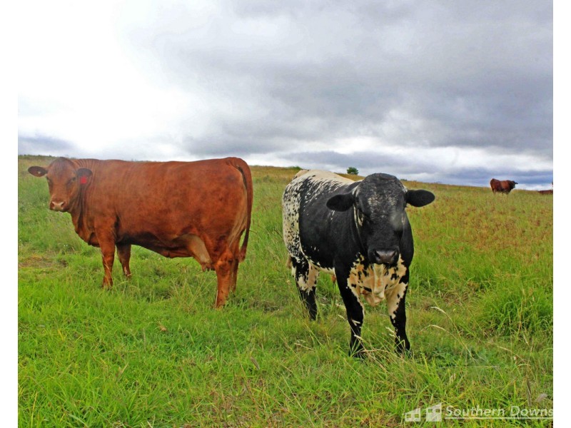 400/237 Swanfels Road, Yangan QLD 4371