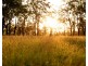 169 Big Hill Road, Pratten QLD 4370