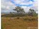517 Blakes Road, Silverwood QLD 4370