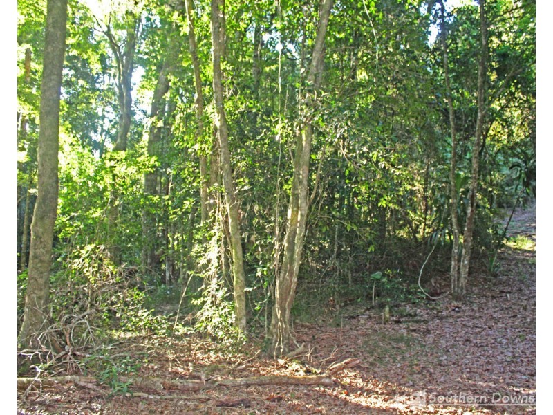 1&3 Spring Creek Road “The Head”, Killarney QLD 4373