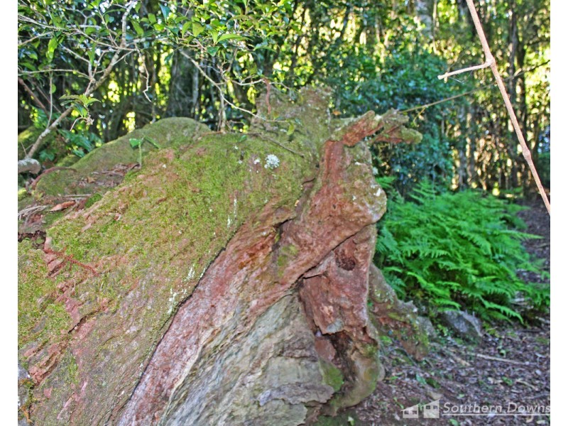 1&3 Spring Creek Road “The Head”, Killarney QLD 4373