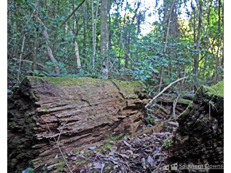 1&3 Spring Creek Road “The Head”, Killarney QLD 4373