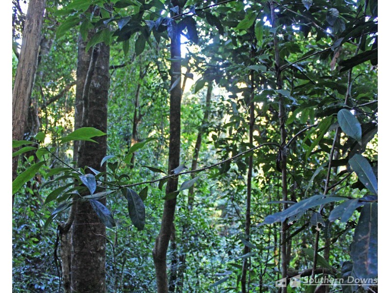 1&3 Spring Creek Road “The Head”, Killarney QLD 4373