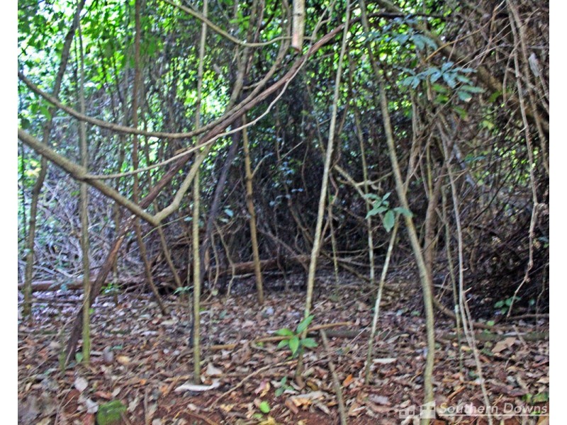 1&3 Spring Creek Road “The Head”, Killarney QLD 4373