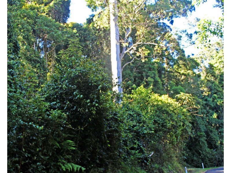 1&3 Spring Creek Road “The Head”, Killarney QLD 4373