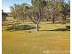 161 Freestone Road, Sladevale QLD 4370