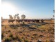 29 Dalrymple Creek Road, Talgai QLD 4362