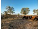 29 Dalrymple Creek Road, Talgai QLD 4362