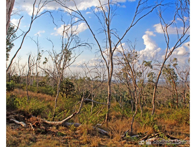 80 Rodgers Creek Road, Rodgers Creek QLD 4370