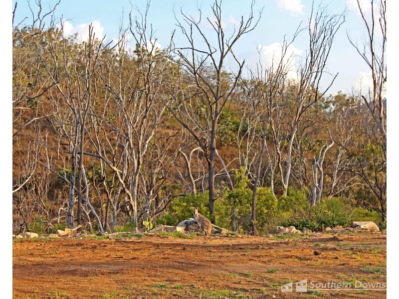 80 Rodgers Creek Road, Rodgers Creek QLD 4370