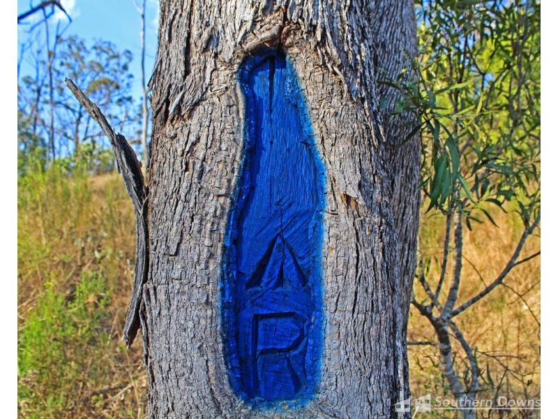 80 Rodgers Creek Road, Rodgers Creek QLD 4370