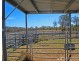 13 Old Stanthorpe Road, Dalveen QLD 4374