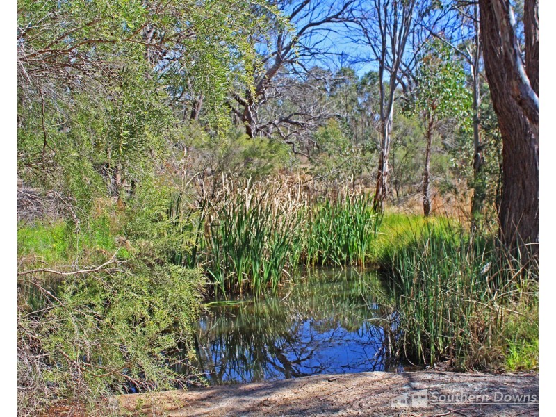 13 Old Stanthorpe Road, Dalveen QLD 4374