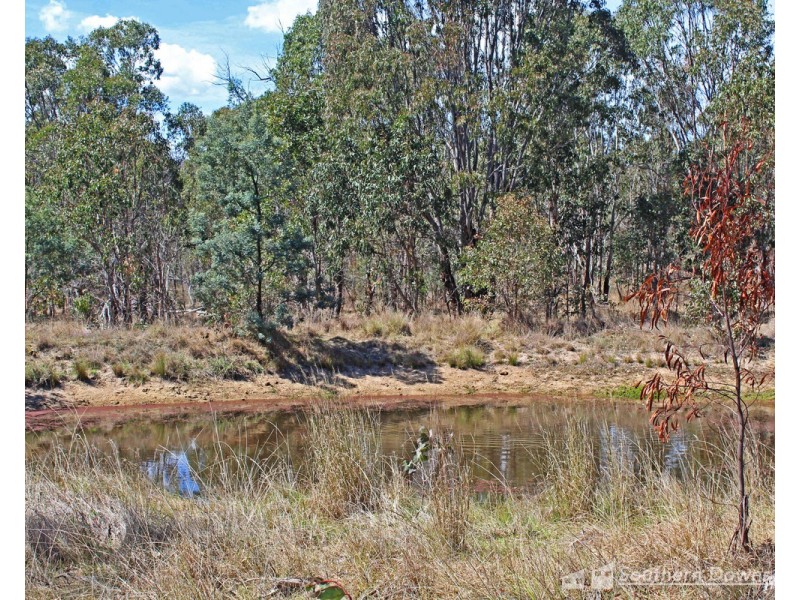 13 Old Stanthorpe Road, Dalveen QLD 4374