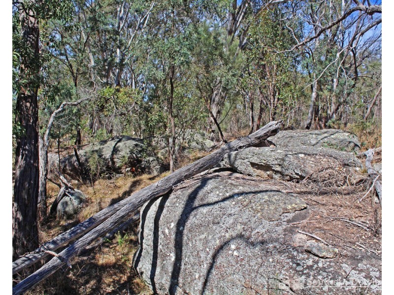 13 Old Stanthorpe Road, Dalveen QLD 4374