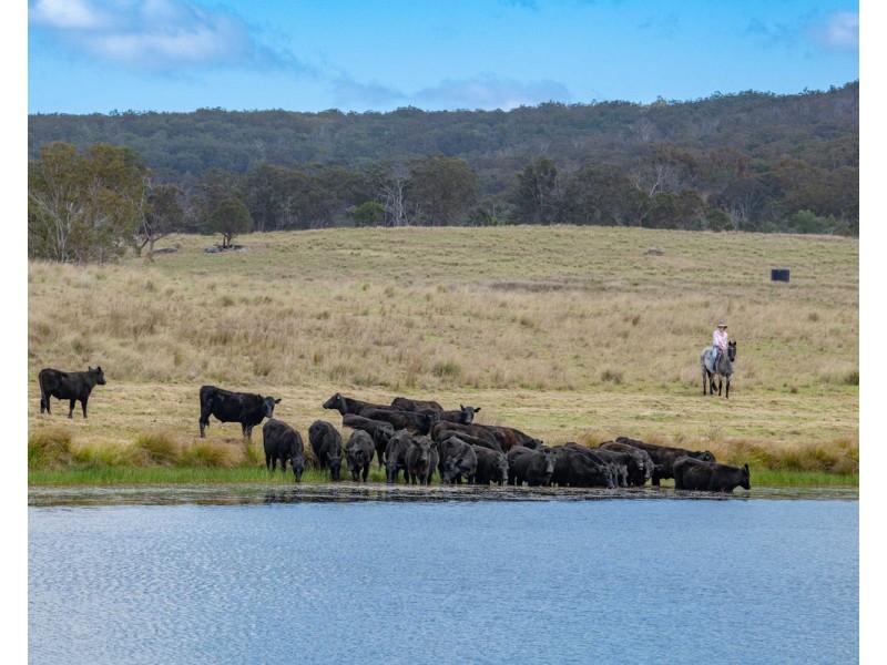 2792 Old Stanthorpe Road, Dalveen QLD 4374
