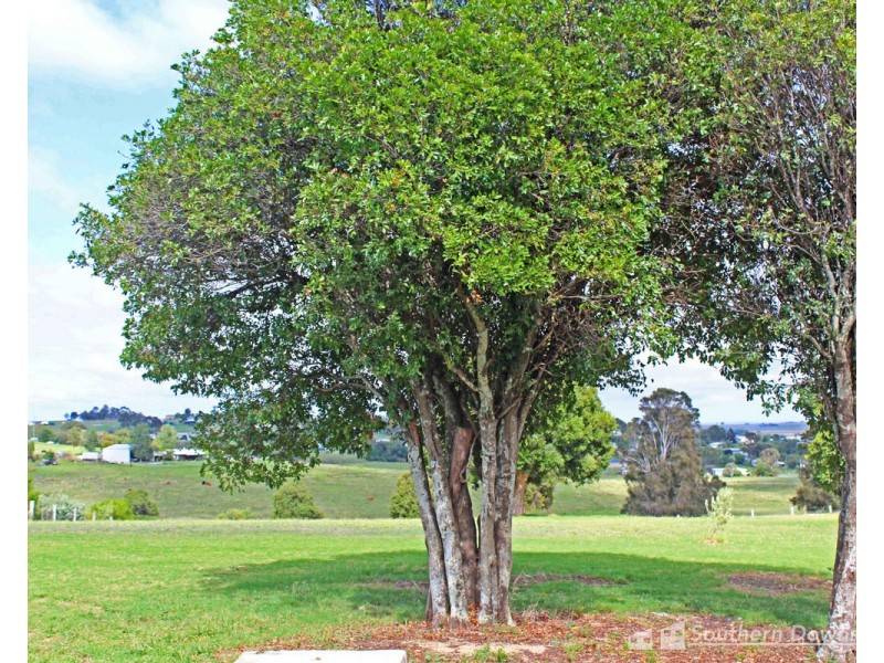 7 Rose Street, Killarney QLD 4373