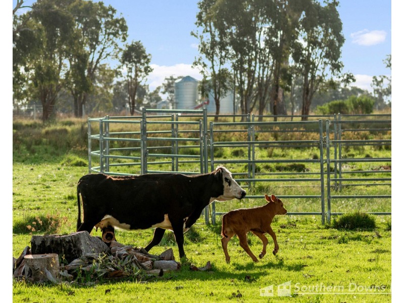 448 Mapes Road, Murrays Bridge QLD 4370