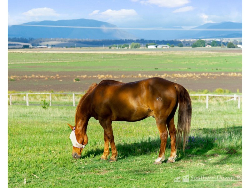 448 Mapes Road, Murrays Bridge QLD 4370