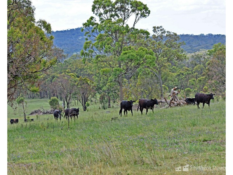 21614 New England Highway, Dalveen QLD 4374