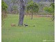 21614 New England Highway, Dalveen QLD 4374