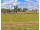 60 Jane Lane, Maryvale QLD 4370
