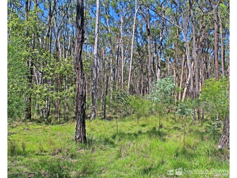 137 Old Thanes Creek Road, Thanes Creek QLD 4370