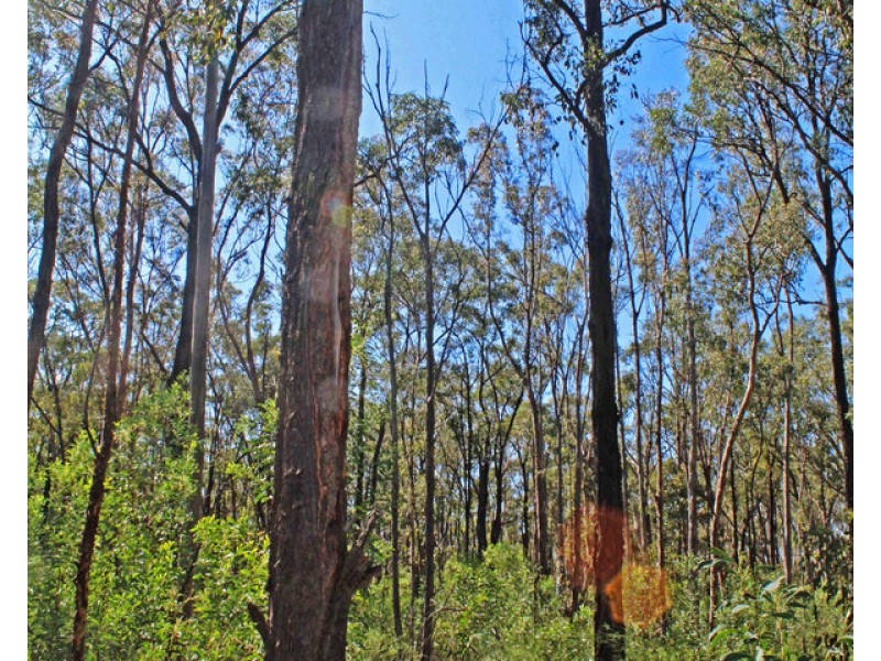 137 Old Thanes Creek Road, Thanes Creek QLD 4370