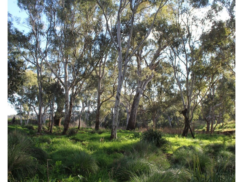 1 Condamine River Road, Pratten QLD 4370